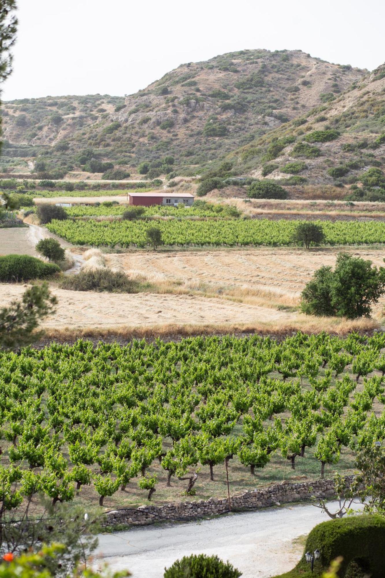 Vina Oliva Resort 皮斯索里 外观 照片